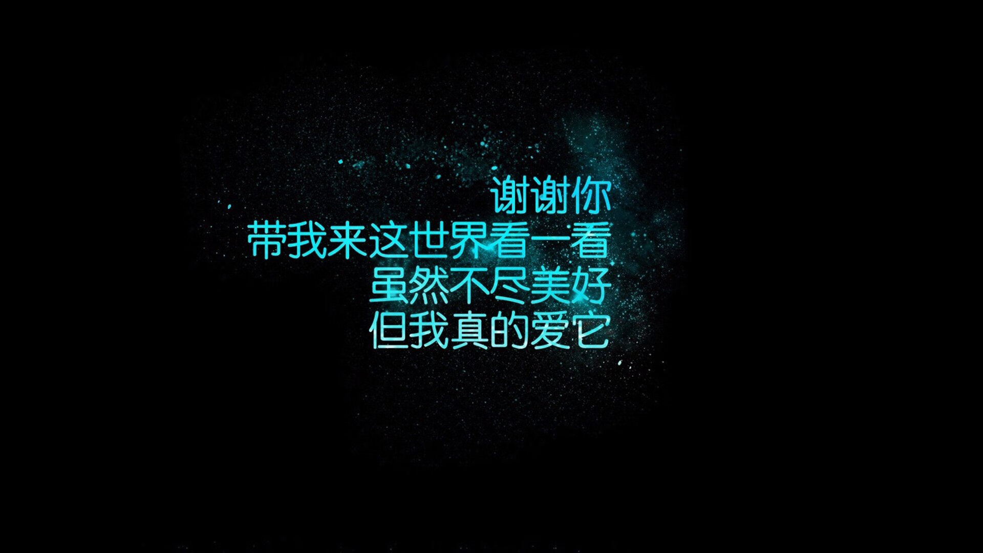 随机女足世界杯球队备战揭秘，女足世界杯阵容