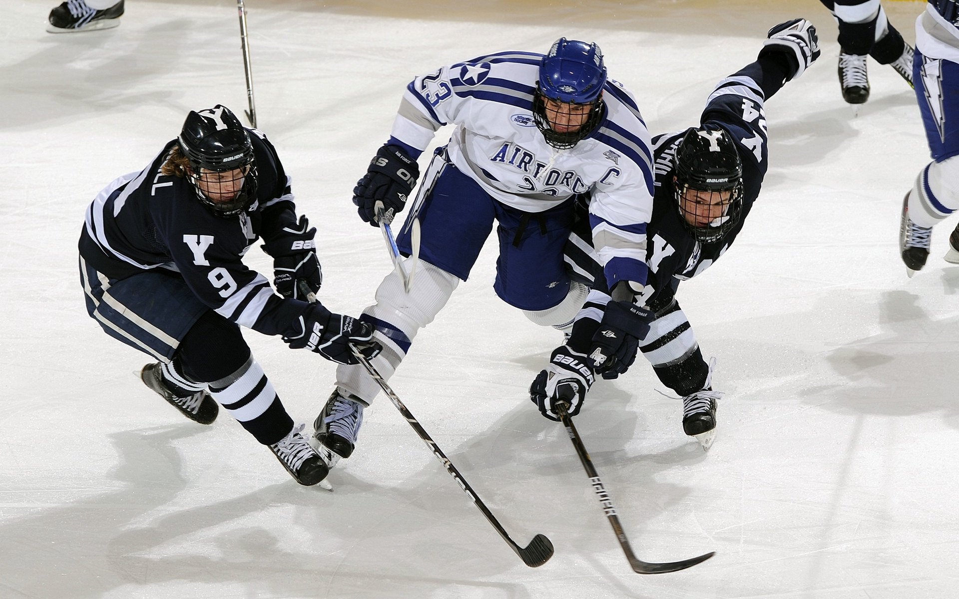 球队幕后:主教练的战术思考与决策,球队的教练叫什么